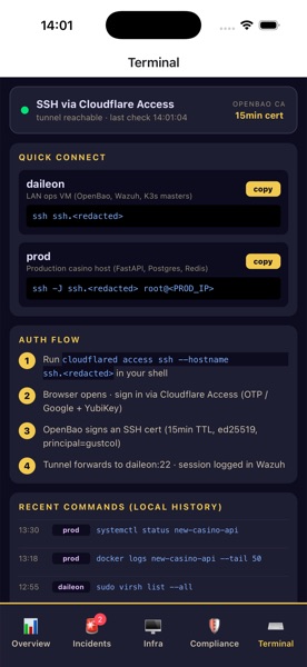 Terminal tab — Cloudflare Access SSH connection details and recent commands